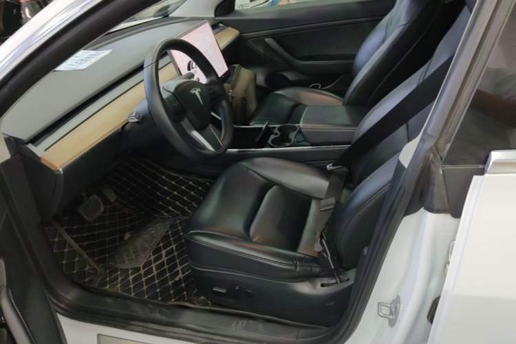 Used Tesla Model 3 2019 Standard Range Rear-Drive Upgraded Version Left Front Seat
