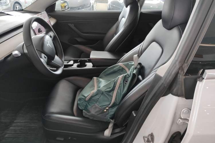 Used Tesla Model 3 2019 Standard Range Rear-Wheel Drive Upgraded Version (60 kWh) Left Front Seat
