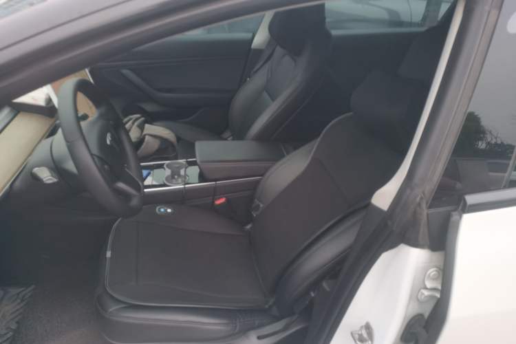 Used Tesla Model 3 2019 Standard Range Rear-Wheel Drive Upgraded Version (60 kWh) Left Front Seat