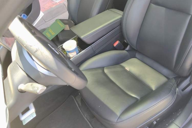 Used Tesla Model 3 2019 Long-Range All-Wheel-Drive Version Left Front Seat