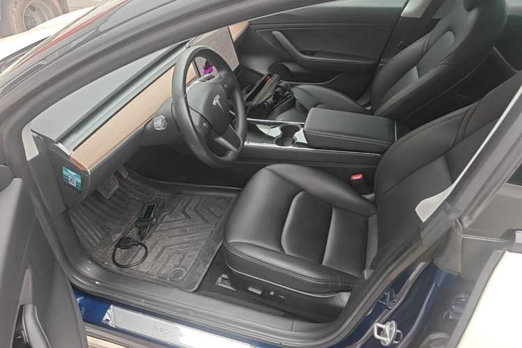 Used Tesla Model 3 2019 Long-Range All-Wheel-Drive Version Left Front Seat