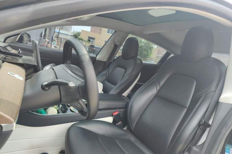 Used Tesla Model 3 2019 Long-Range All-Wheel-Drive Version Left Front Seat