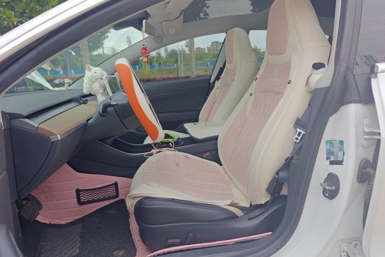 Used Tesla Model 3 2019 Standard Range Rear-Wheel Drive Upgraded Version (52 kWh) Left Front Seat