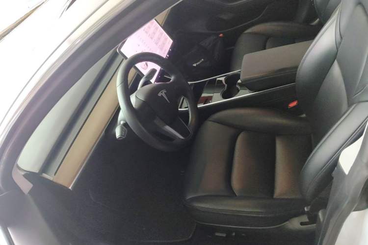 Used Tesla Model 3 2019 Long-Range All-Wheel-Drive Version Left Front Seat