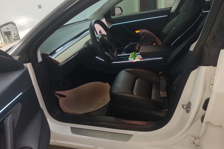 Used Tesla Model 3 2019 Standard Range Rear-Drive Upgraded Version Left Front Seat