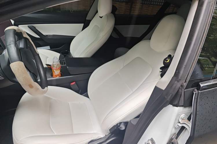 Used Tesla Model 3 2019 Standard Range Rear-Wheel Drive Upgraded Version (52 kWh) Left Front Seat