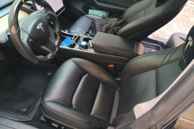 Used Tesla Model 3 2019 Long-Range All-Wheel-Drive Version Left Front Seat