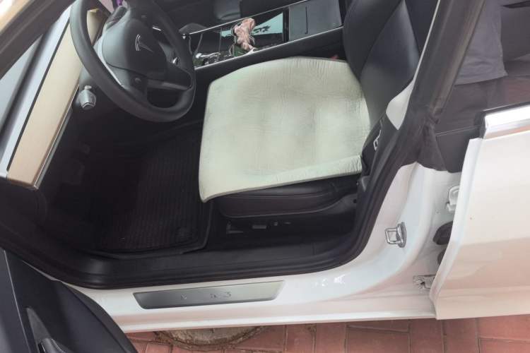 Used Tesla Model 3 2019 Standard Range Rear-Wheel Drive Upgraded Version (52 kWh) Left Front Seat