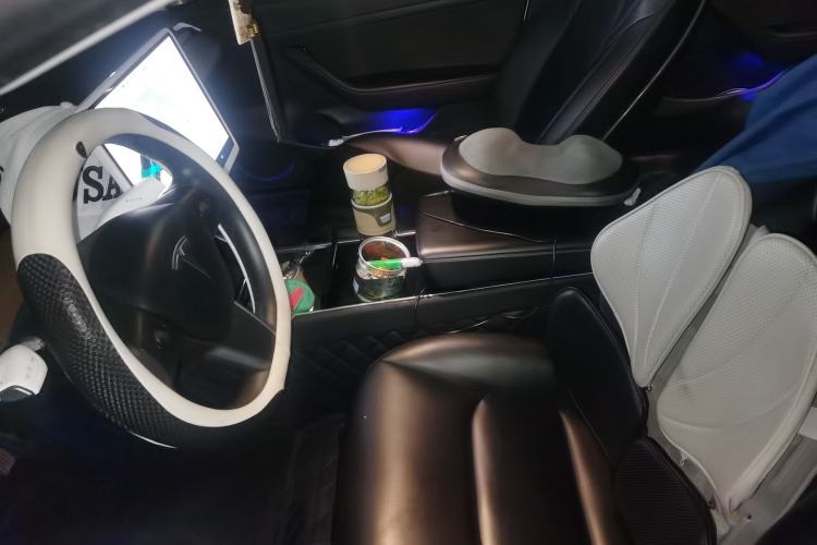 Used Tesla Model 3 2019 Standard Range Rear-Drive Upgraded Version Left Front Seat