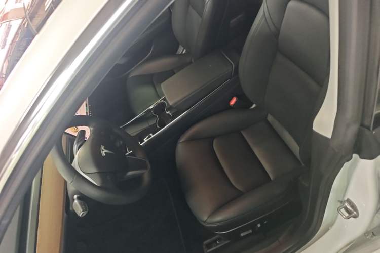 Used Tesla Model 3 2019 Long-Range All-Wheel-Drive Version Left Front Seat