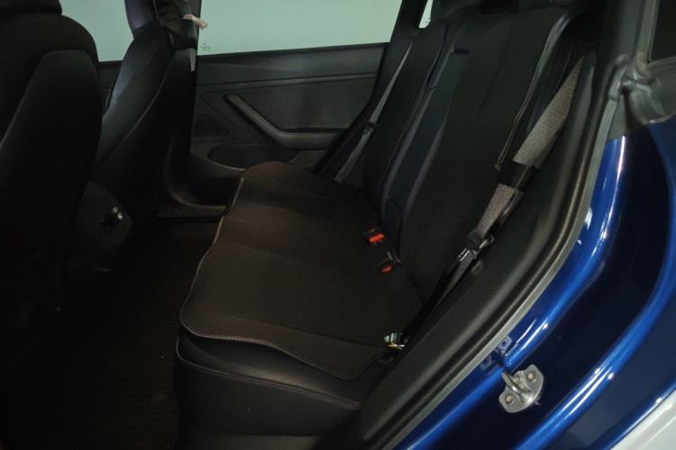 Used Tesla Model 3 2019 Long-Range All-Wheel-Drive Version Left Rear Seat