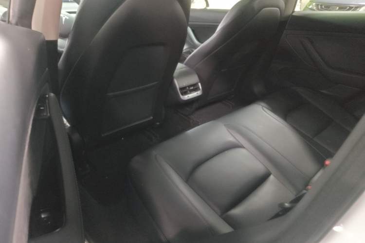Used Tesla Model 3 2019 Long-Range All-Wheel-Drive Version Left Rear Seat
