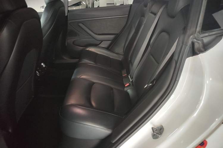 Used Tesla Model 3 2019 Long-Range All-Wheel-Drive Version Left Rear Seat