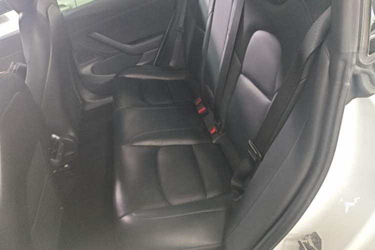 Used Tesla Model 3 2019 Standard Range Rear-Wheel Drive Upgraded Version (60 kWh) Left Rear Seat