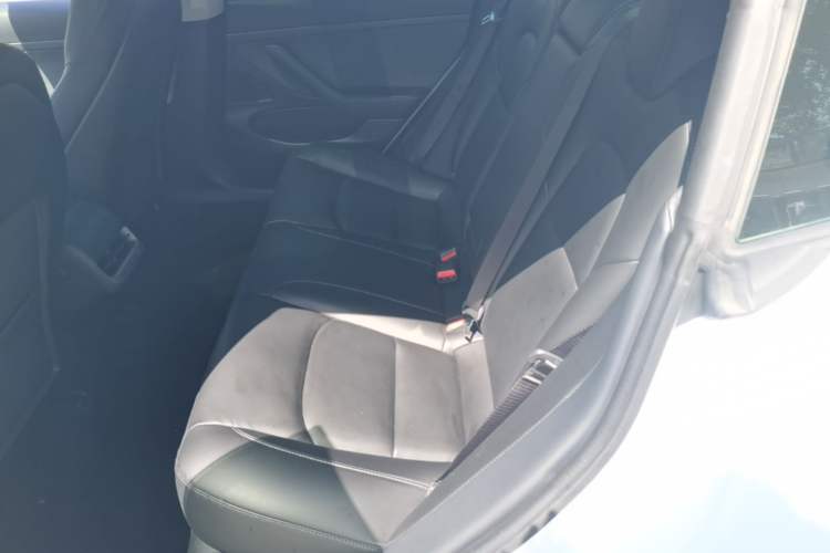 Used Tesla Model 3 2019 Standard Range Rear-Drive Upgraded Version Left Rear Seat