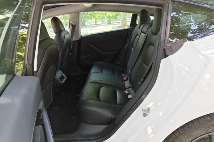 Used Tesla Model 3 2019 Standard Range Rear-Drive Upgraded Version Left Rear Seat