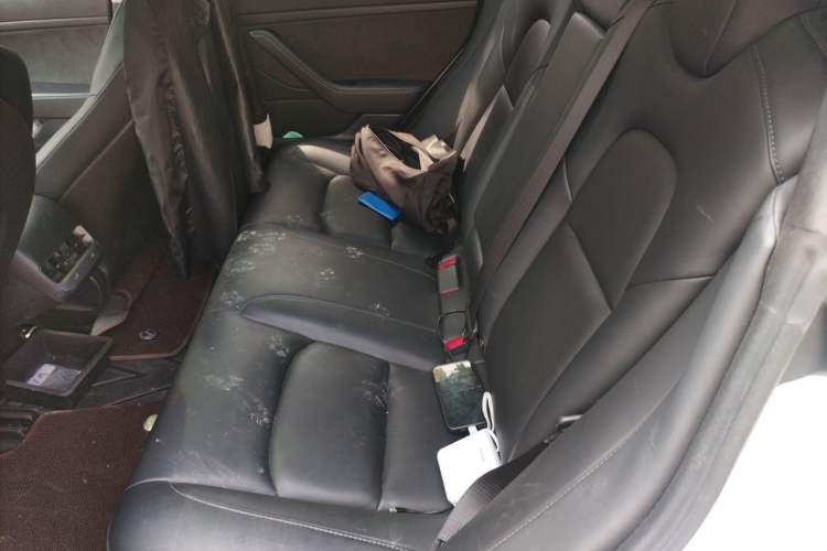 Used Tesla Model 3 2019 Standard Range Rear-Wheel Drive Upgraded Version (60 kWh) Left Rear Seat