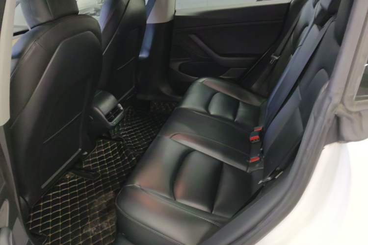 Used Tesla Model 3 2019 Standard Range Rear-Drive Upgraded Version Left Rear Seat