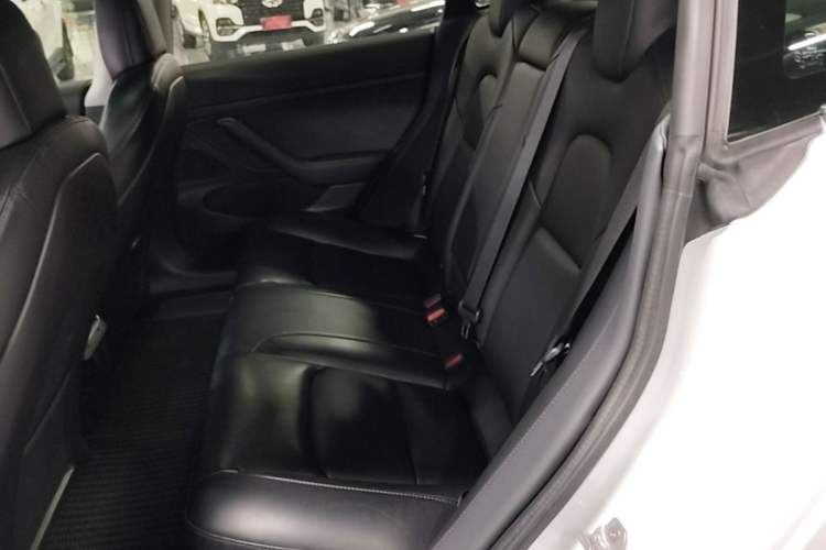 Used Tesla Model 3 2019 Standard Range Rear-Drive Upgraded Version Left Rear Seat