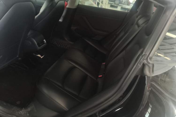 Used Tesla Model 3 2019 Standard Range Rear-Drive Upgraded Version Left Rear Seat