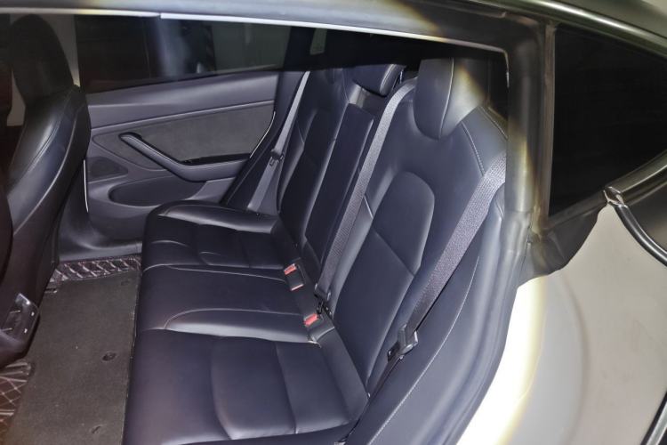 Used Tesla Model 3 2019 Long-Range Rear-Wheel-Drive Version Left Rear Seat