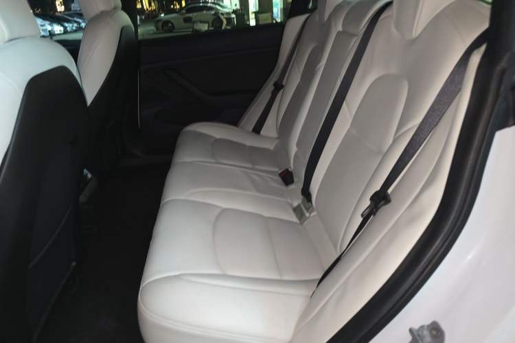 Used Tesla Model 3 2019 Standard Range Rear-Wheel Drive Upgraded Version (60 kWh) Left Rear Seat