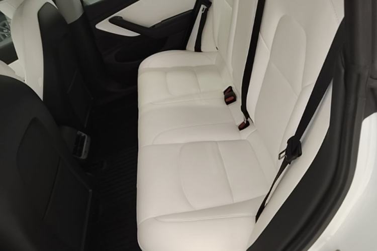 Used Tesla Model 3 2019 Performance High-Performance All-Wheel-Drive Version Left Rear Seat
