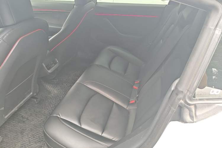 Used Tesla Model 3 2019 Standard Range Rear-Drive Upgraded Version Left Rear Seat