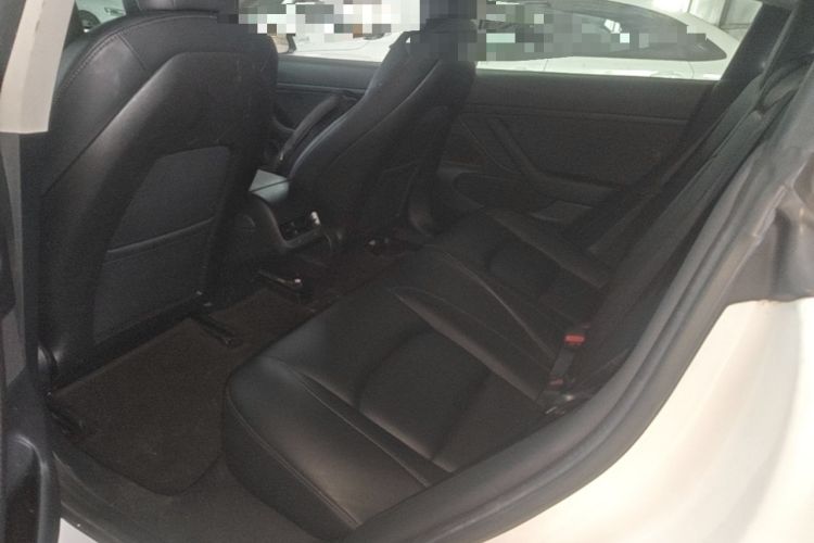Used Tesla Model 3 2019 Standard Range Rear-Wheel Drive Upgraded Version (52 kWh) Left Rear Seat