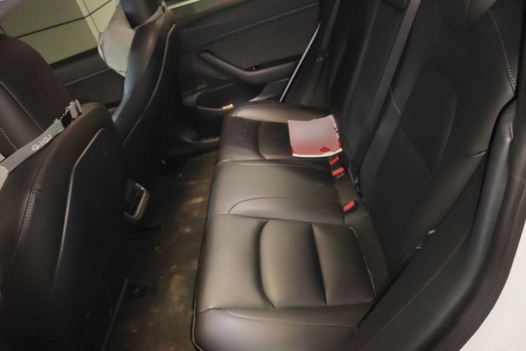 Used Tesla Model 3 2019 Standard Range Rear-Drive Upgraded Version Left Rear Seat