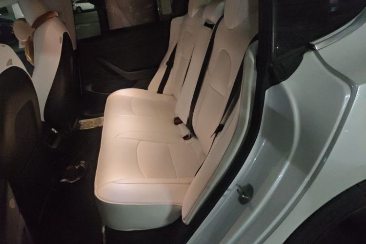 Used Tesla Model 3 2019 Long-Range Rear-Wheel-Drive Version Left Rear Seat