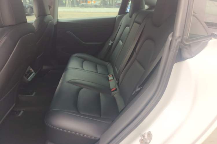 Used Tesla Model 3 2019 Standard Range Rear-Drive Upgraded Version Left Rear Seat