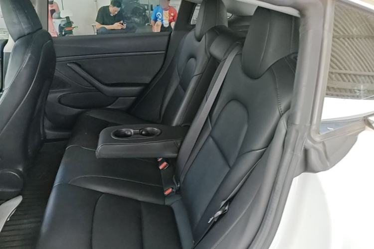 Used Tesla Model 3 2019 Long-Range Rear-Wheel-Drive Version Left Rear Seat