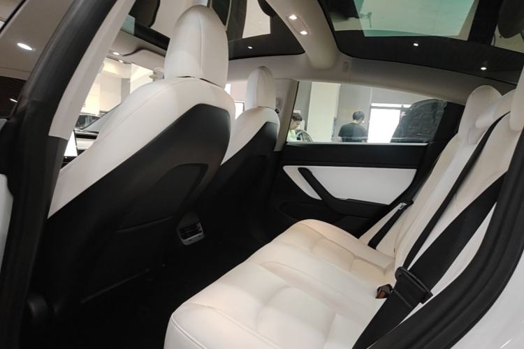 Used Tesla Model 3 2019 Performance High-Performance All-Wheel-Drive Version Left Rear Seat