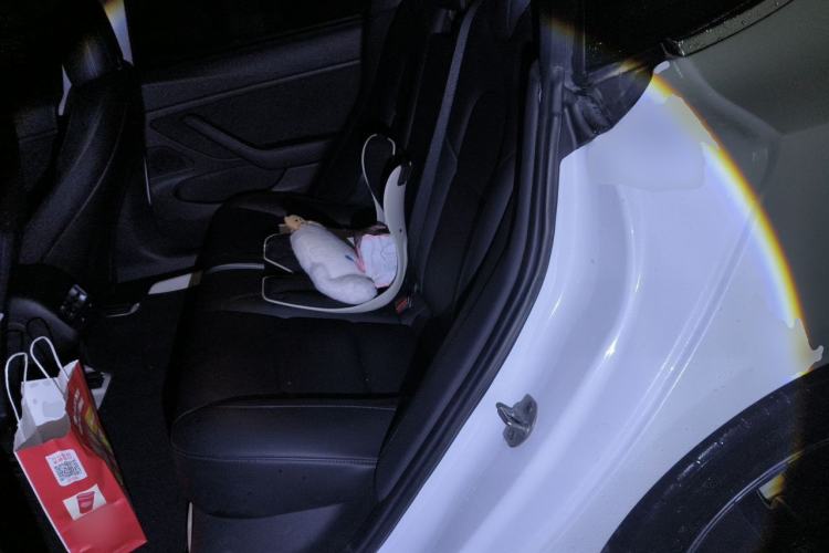 Used Tesla Model 3 2019 Long-Range Rear-Wheel-Drive Version Left Rear Seat