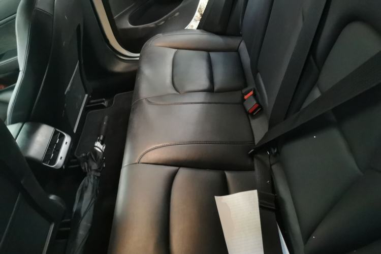 Used Tesla Model 3 2019 Long-Range Rear-Wheel-Drive Version Left Rear Seat