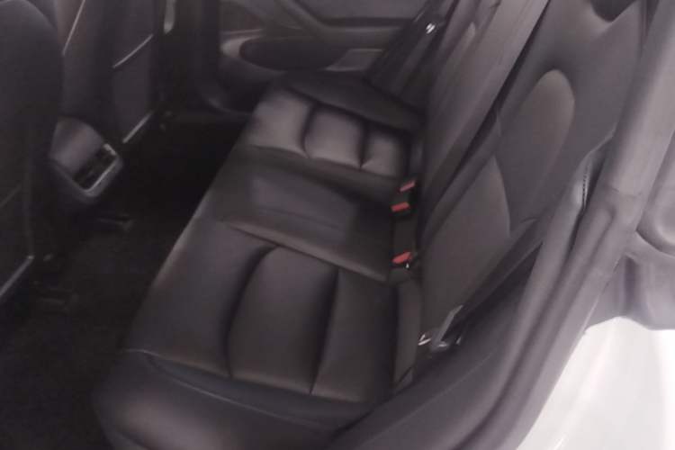 Used Tesla Model 3 2019 Standard Range Rear-Drive Upgraded Version Left Rear Seat