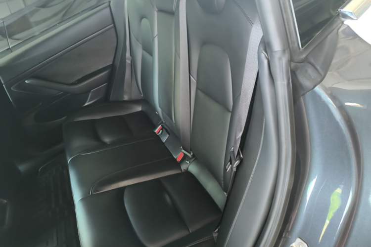 Used Tesla Model 3 2019 Standard Range Rear-Drive Upgraded Version Left Rear Seat