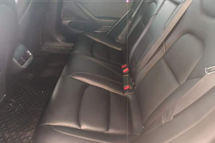 Used Tesla Model 3 2019 Standard Range Rear-Wheel Drive Upgraded Version (52 kWh) Left Rear Seat