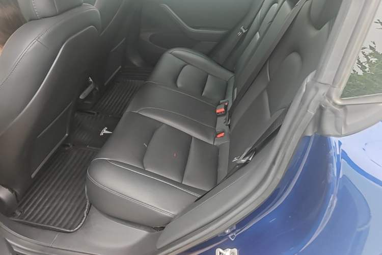 Used Tesla Model 3 2019 Long-Range All-Wheel-Drive Version Left Rear Seat