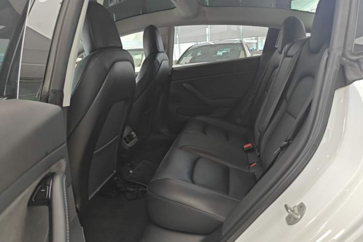 Used Tesla Model 3 2019 Long-Range Rear-Wheel-Drive Version Left Rear Seat