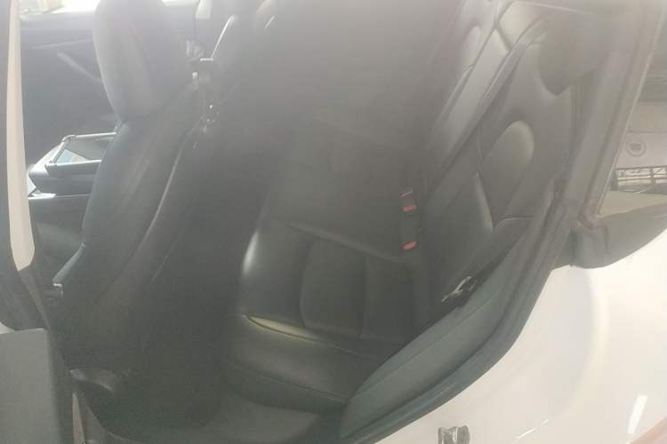 Used Tesla Model 3 2019 Performance High-Performance All-Wheel-Drive Version Left Rear Seat