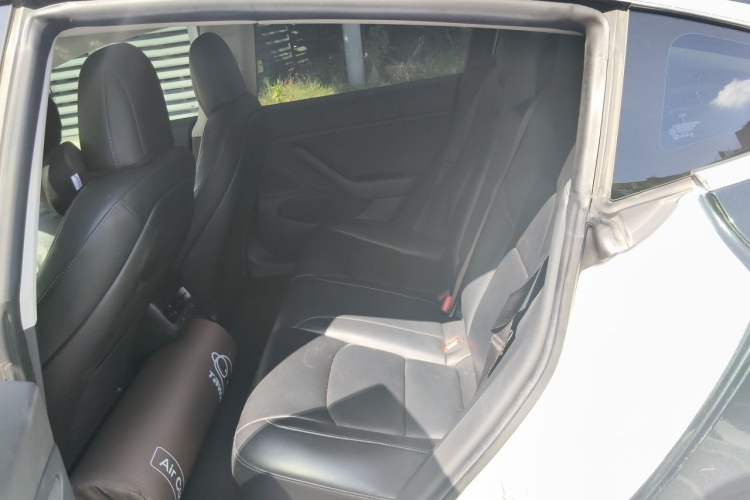 Used Tesla Model 3 2019 Long-Range Rear-Wheel-Drive Version Left Rear Seat