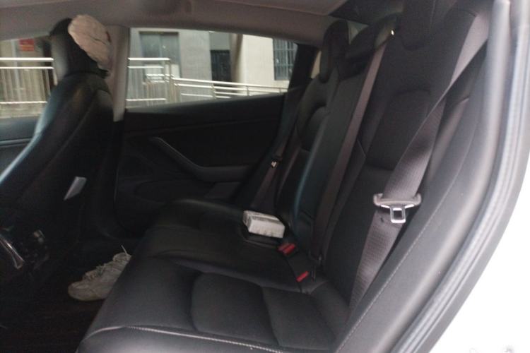 Used Tesla Model 3 2019 Long-Range Rear-Wheel-Drive Version Left Rear Seat
