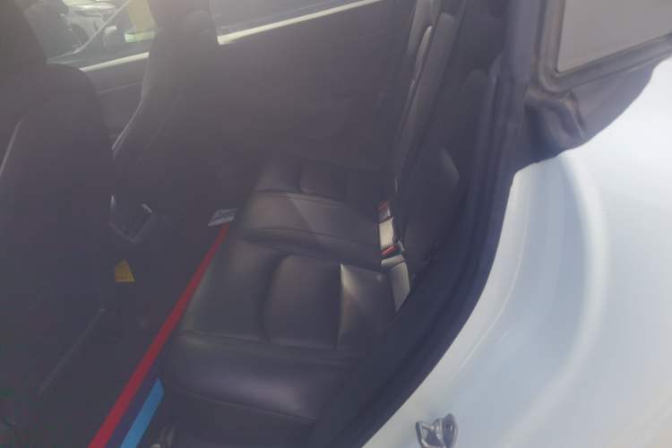 Used Tesla Model 3 2019 Standard Range Rear-Drive Upgraded Version Left Rear Seat