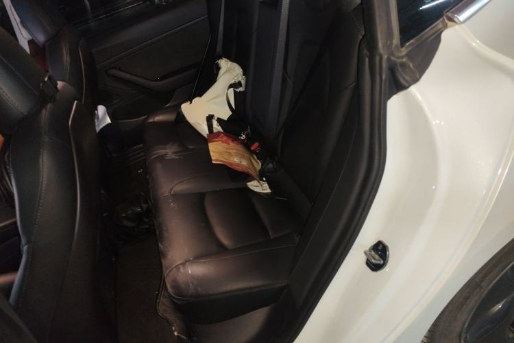 Used Tesla Model 3 2019 Long-Range Rear-Wheel-Drive Version Left Rear Seat