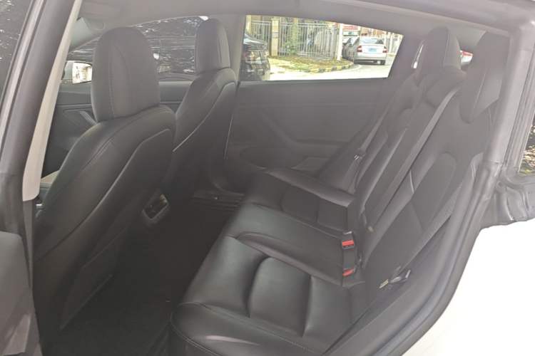 Used Tesla Model 3 2019 Long-Range Rear-Wheel-Drive Version Left Rear Seat