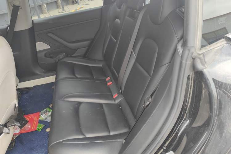 Used Tesla Model 3 2019 Long-Range All-Wheel-Drive Version Left Rear Seat