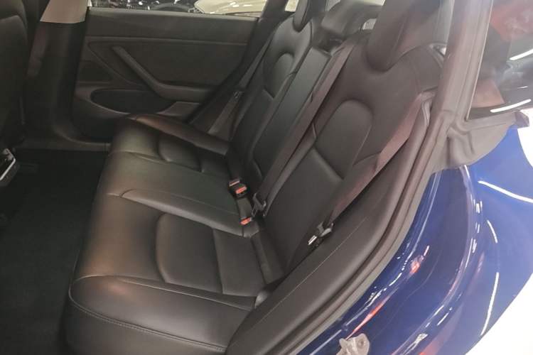 Used Tesla Model 3 2019 Long-Range Rear-Wheel-Drive Version Left Rear Seat