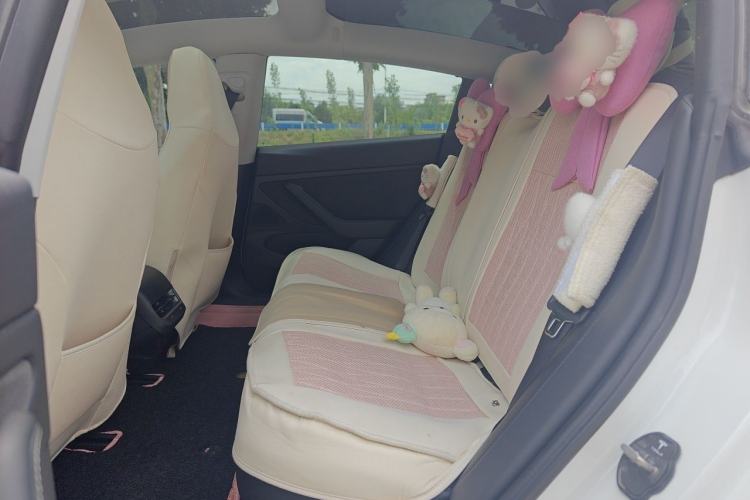 Used Tesla Model 3 2019 Standard Range Rear-Wheel Drive Upgraded Version (52 kWh) Left Rear Seat